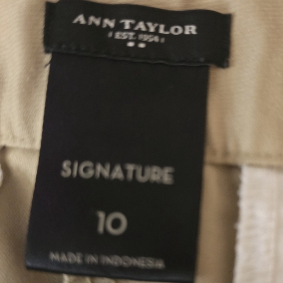 Ann Taylor Signature Women's  Brown Shorts W Front & Back Pockets! Size 10 - Picture 4 of 4